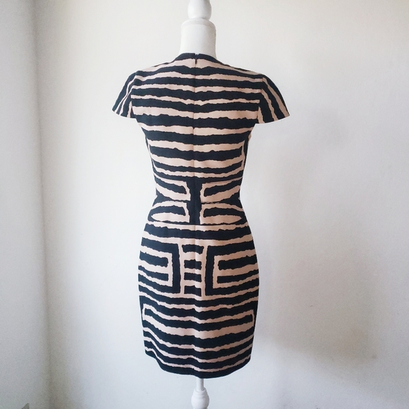 4.Collective Zebra Sheath Dress Anthropologie - Picture 3 of 8
